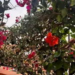 펜션 Casa Dos Arrifes - With Ocean View And Private Garden *