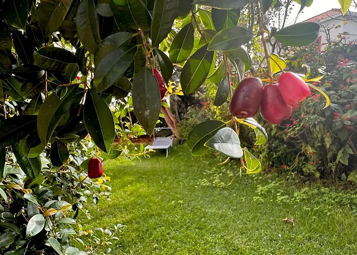 Casa Dos Arrifes - With Ocean View And Private Garden *