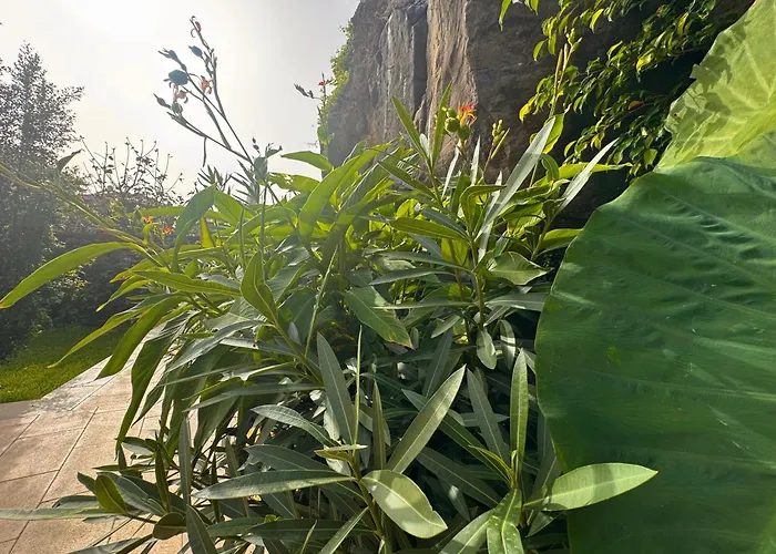 Casa Dos Arrifes - With Ocean View And Private Garden 펜션 푼샬