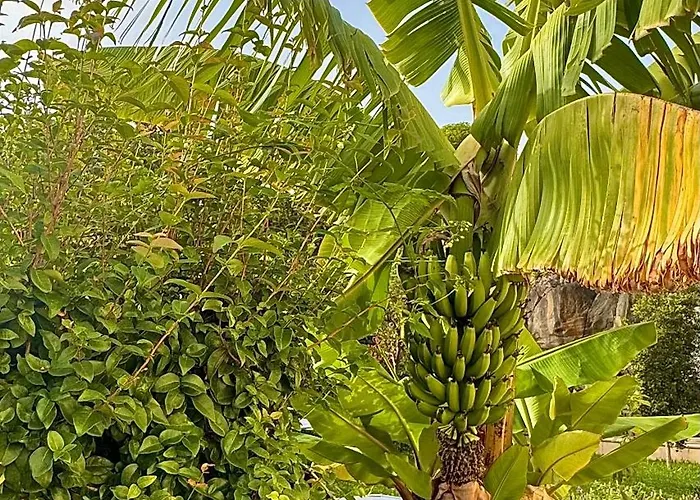 Casa Dos Arrifes - With Ocean View And Private Garden