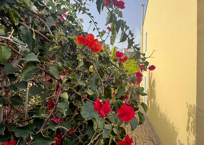 펜션 Casa Dos Arrifes - With Ocean View And Private Garden *