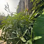 Casa Dos Arrifes - With Ocean View And Private Garden Semesterbostad Funchal (Madeira)
