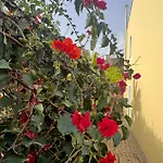Semesterbostad Casa Dos Arrifes - With Ocean View And Private Garden *