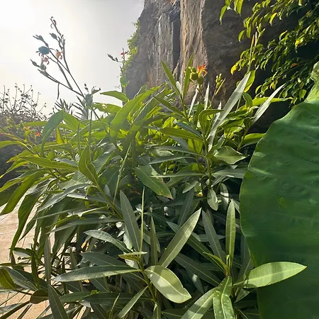 Casa Dos Arrifes - With Ocean View And Private Garden Дом отдыха Фуншал