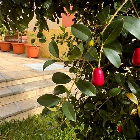 Casa Dos Arrifes - With Ocean View And Private Garden * Фуншал