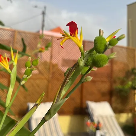 Casa Dos Arrifes 別荘 フンシャル