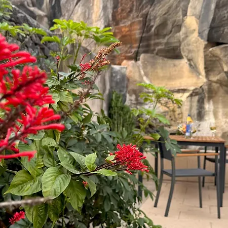 Дом отдыха Casa Dos Arrifes - With Ocean View And Private Garden