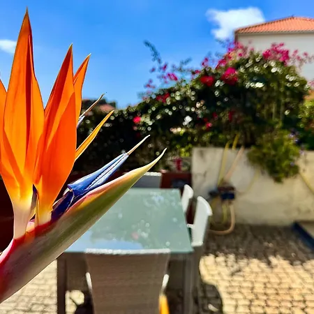 Casa Dos Arrifes - With Ocean View And Private Garden Фуншал