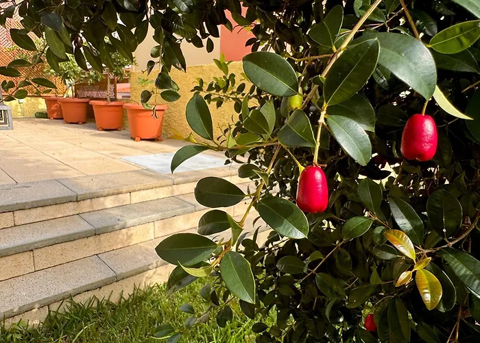 Casa Dos Arrifes - With Ocean View And Private Garden * Funchal (Madeira)