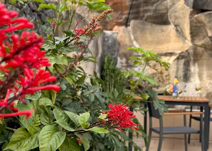 Semesterbostad Casa Dos Arrifes - With Ocean View And Private Garden